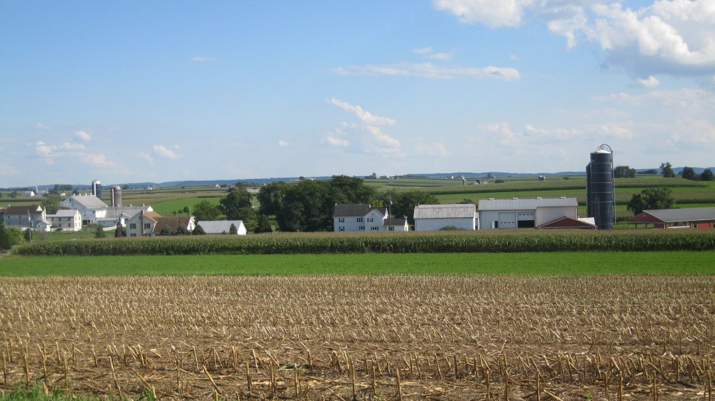 running, farmland, 7feetnorth
