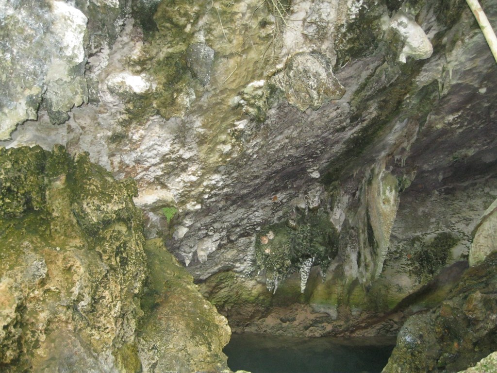 Bermuda, cave, grotto, adventure