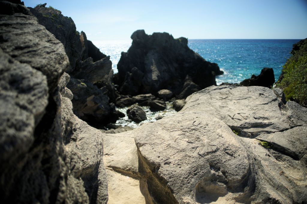 bermuda, beach, adventure