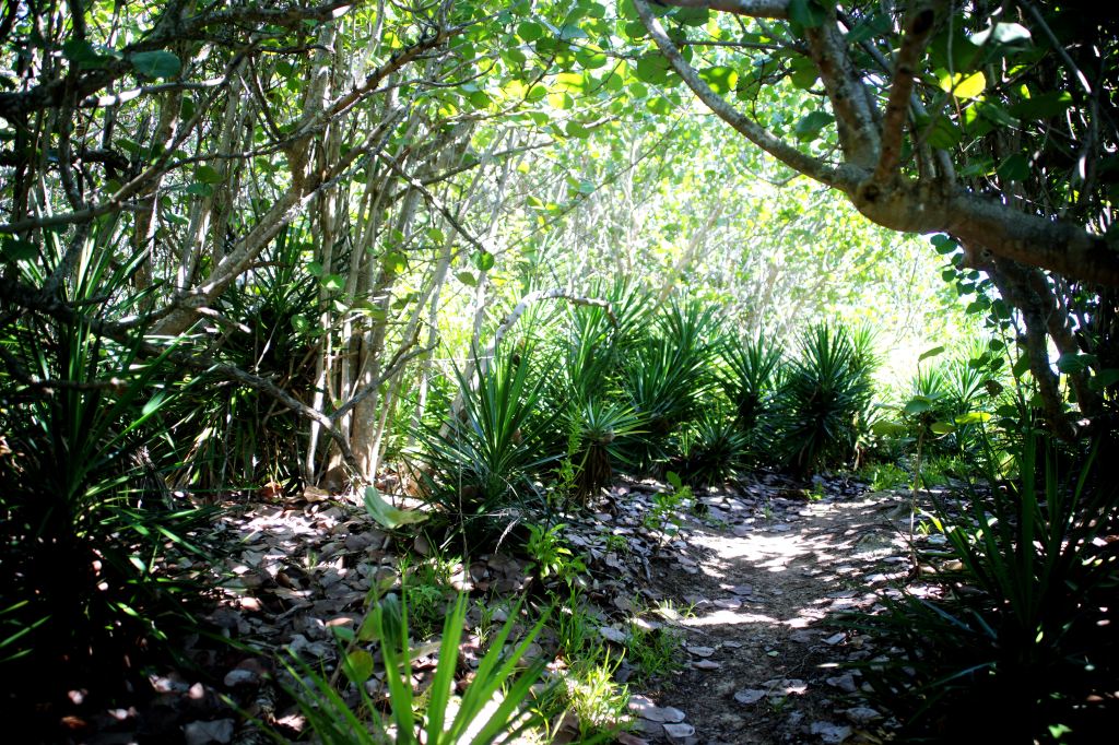 bermuda, beach, adventure