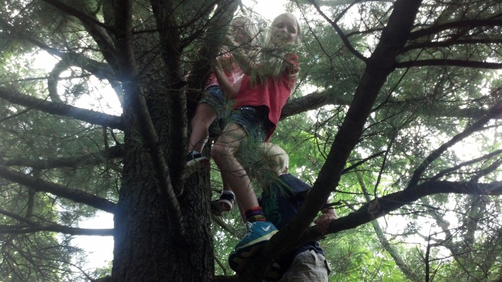 2013-08-02 14.24.08 (3)