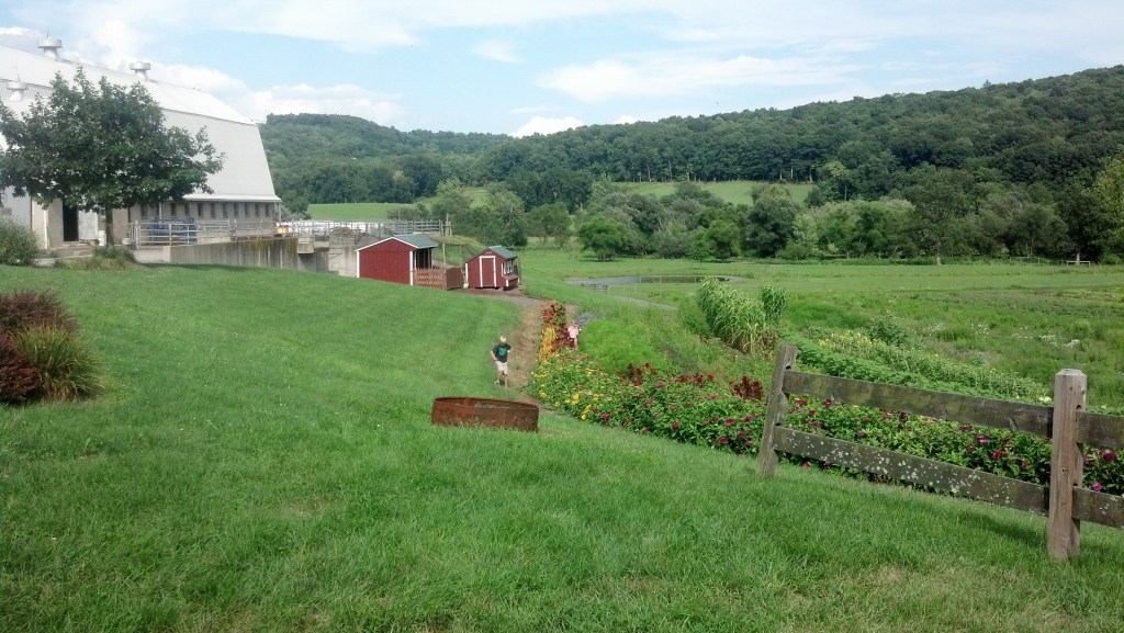 2013-08-02 16.55.09 (2)